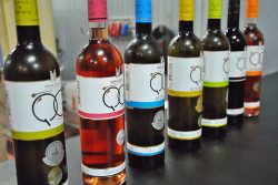 Vinho Verde gibt es als Weiß-, Rosé- und Rotwein