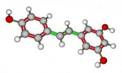 Resveratrol-Molekül