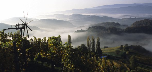 Die Steiermark - Artikelbild