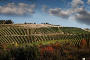 Das Weinanbaugebiet Nahe