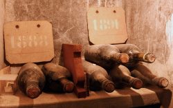 Die ältesten Flaschen im Biondi-Santi-Keller