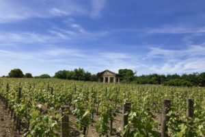 Das Weingut Saint Emilion in Bordeaux