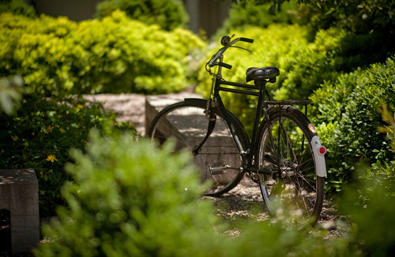Fahrrad-Mobilität in den Weinbergen