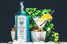 Gin-Cocktail-Rezepte